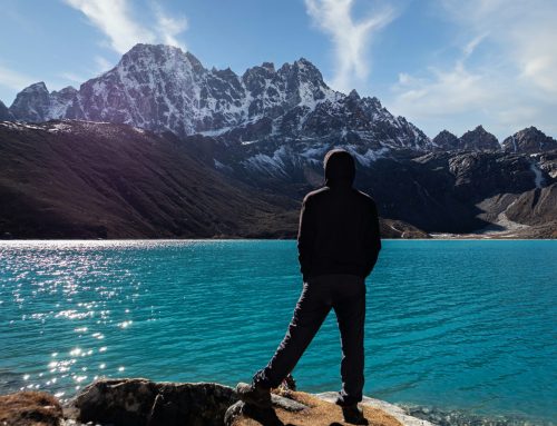 Renewal, Purpose and Resilience: What Mental Performance Has Taught Me